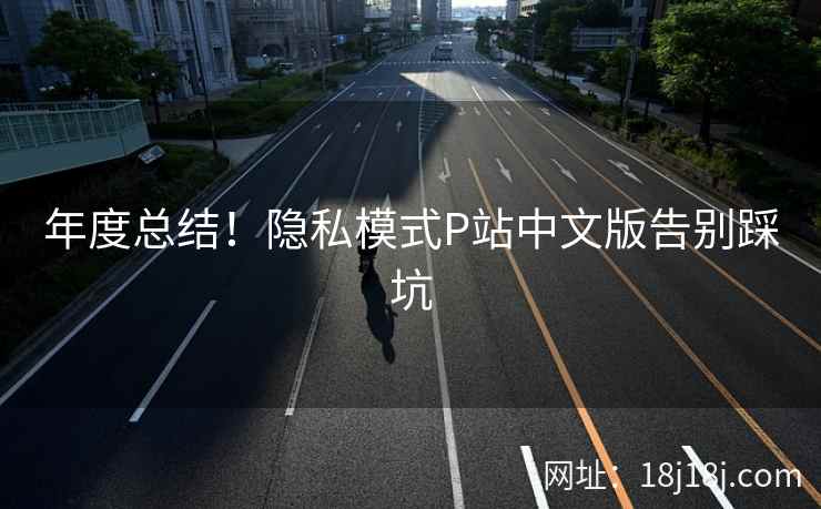 年度总结！隐私模式P站中文版告别踩坑