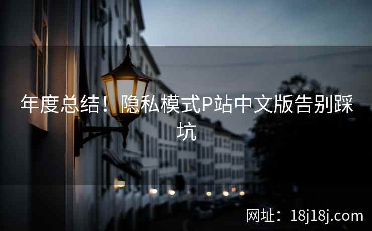 年度总结！隐私模式P站中文版告别踩坑