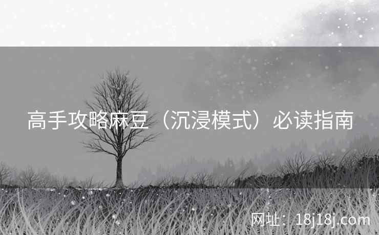 高手攻略麻豆（沉浸模式）必读指南