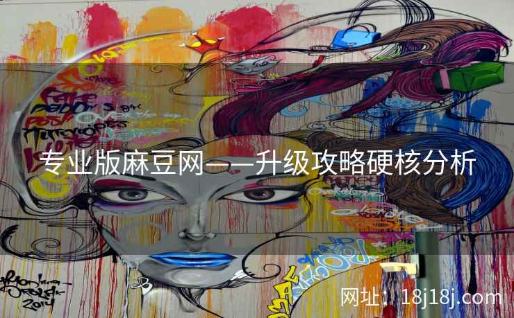 专业版麻豆网——升级攻略硬核分析