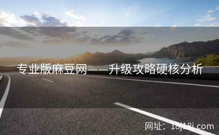 专业版麻豆网——升级攻略硬核分析 专业版麻豆网——升级攻略硬核分析