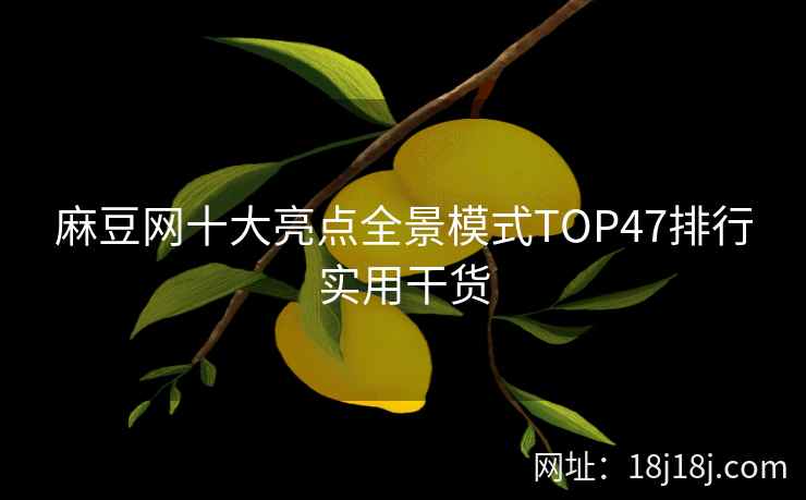 麻豆网十大亮点全景模式TOP47排行实用干货