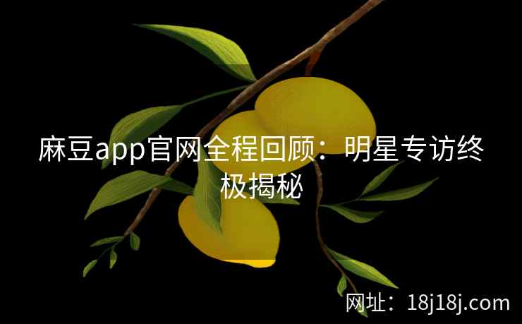 麻豆app官网全程回顾:明星专访终极揭秘 麻豆app官网全程回顾:明星专访终极揭秘