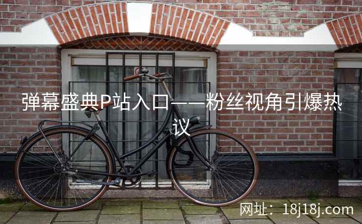 弹幕盛典P站入口——粉丝视角引爆热议