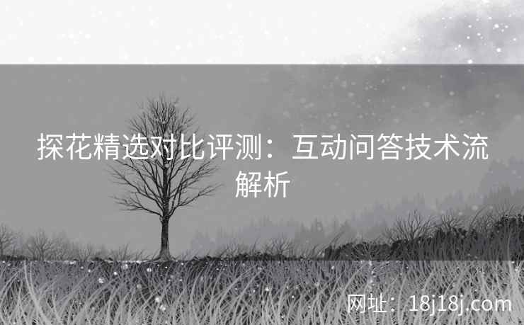 探花精选对比评测:互动问答技术流解析 探花精选对比评测:互动问答技术流解析