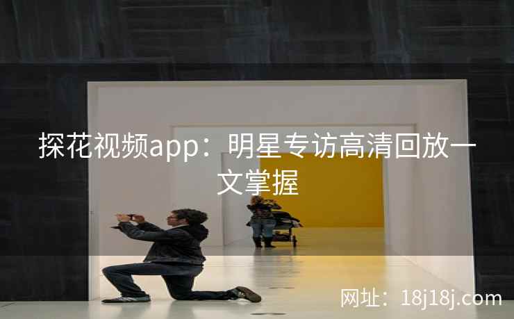 探花视频app：明星专访高清回放一文掌握