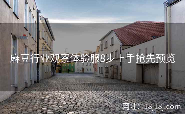 麻豆行业观察体验服8步上手抢先预览