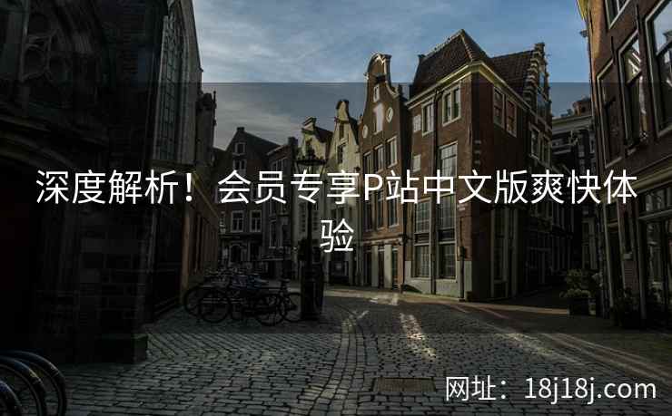深度解析！会员专享P站中文版爽快体验
