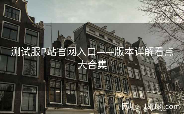 测试服P站官网入口——版本详解看点大合集