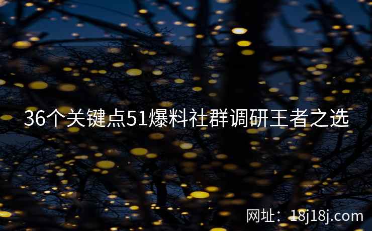 36个关键点51爆料社群调研王者之选