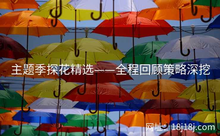 主题季探花精选——全程回顾策略深挖