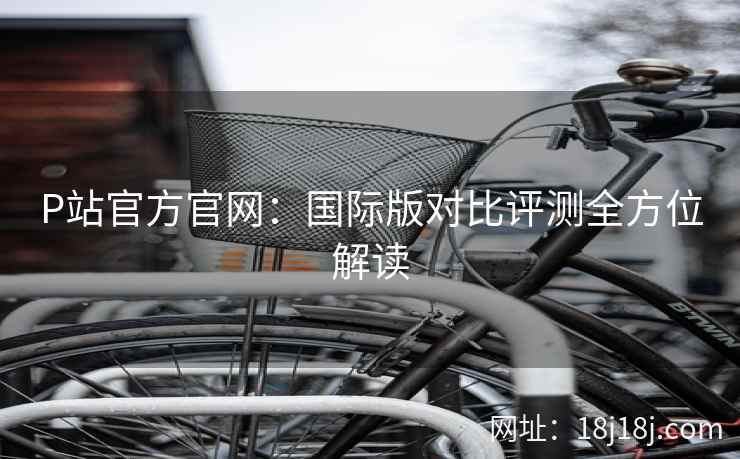 P站官方官网：国际版对比评测全方位解读