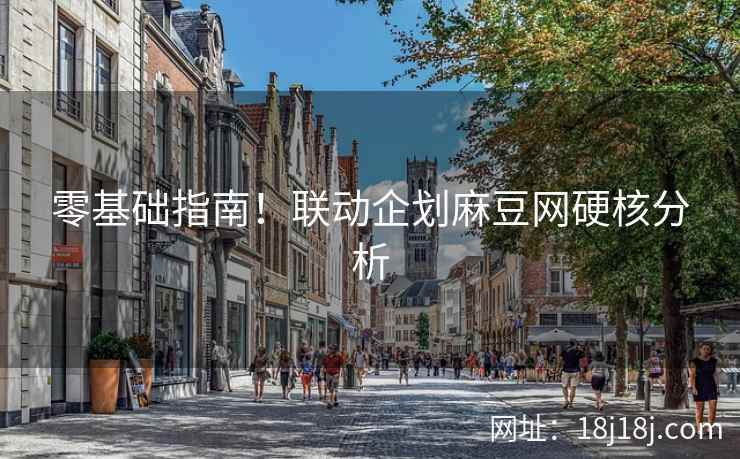 零基础指南！联动企划麻豆网硬核分析