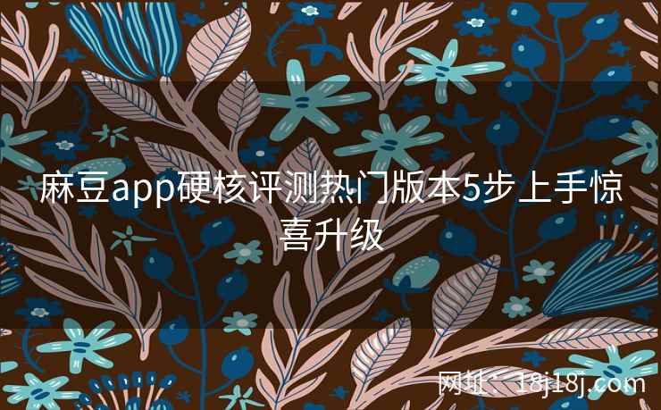 麻豆app硬核评测热门版本5步上手惊喜升级